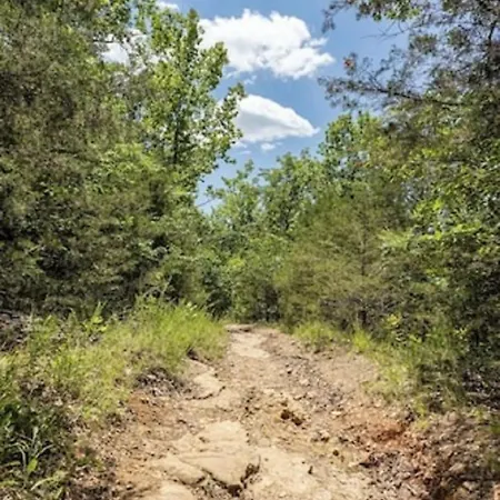 Beautiful Branson Getaway-Next To Silver Dollar City &Tablerock-Family Amenities Esterno foto